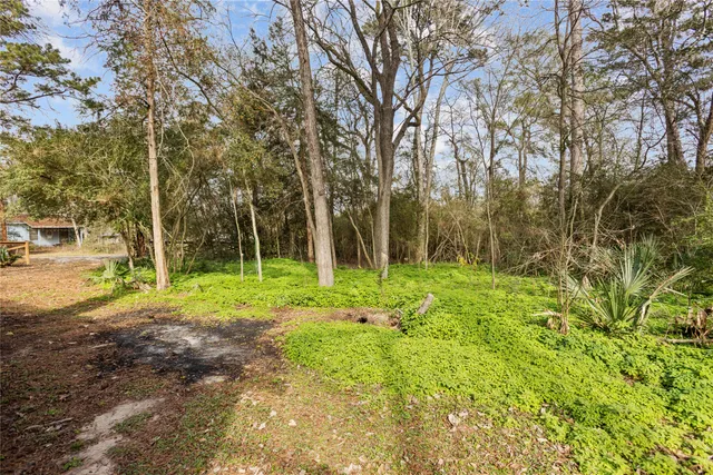 a view of a yard with plants and trees