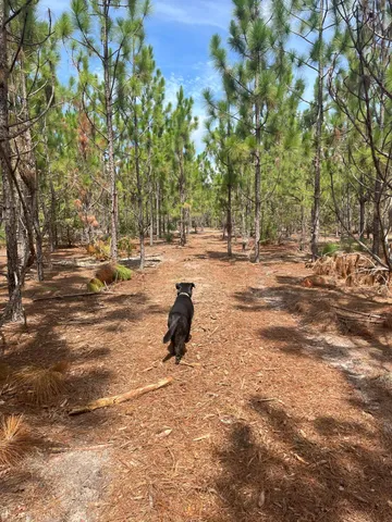 $79,900 | 8 Payne Pond Road, Unit PPF 8, Westville, SC 29175