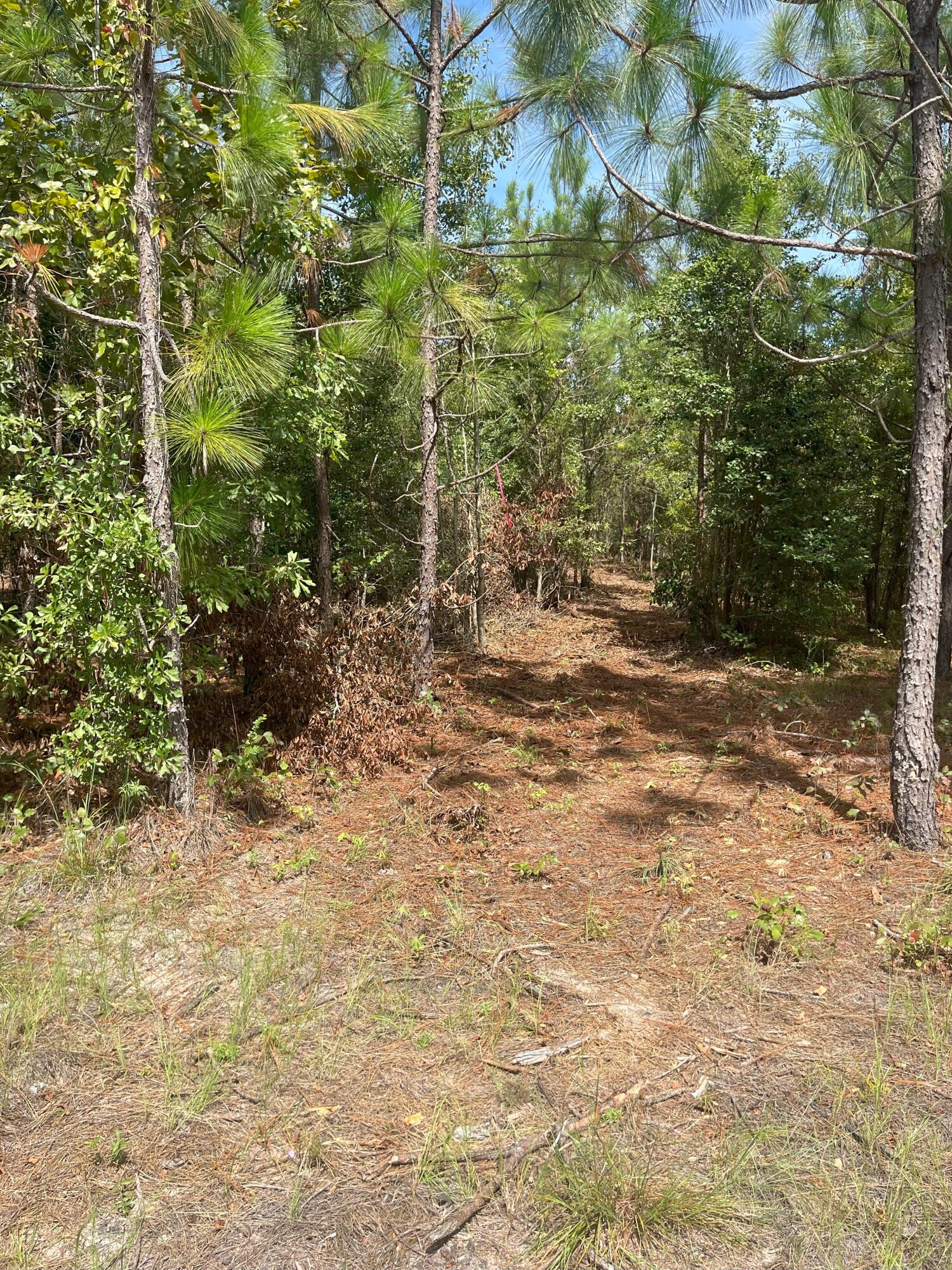 8 Payne Pond Road, Unit PPF 8 Westville, SC 29175 - Photo 3 of 10 IMG_7226