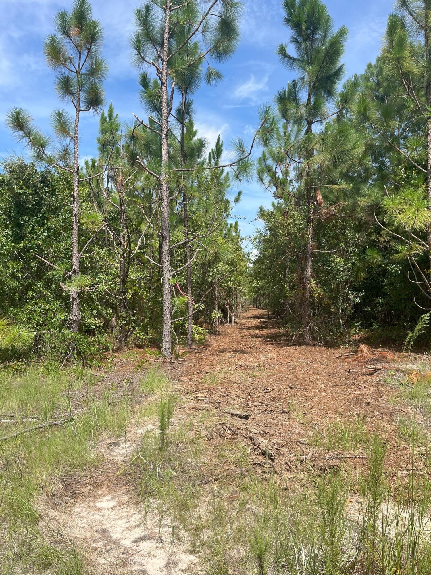 8 Payne Pond Road, Unit PPF 8 Westville, SC 29175 - Photo 4 of 10 IMG_7227