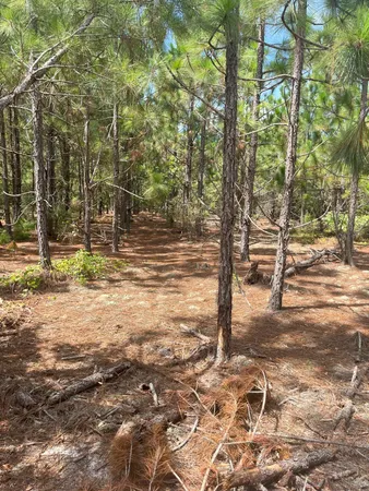 $79,900 | 8 Payne Pond Road, Unit PPF 8, Westville, SC 29175