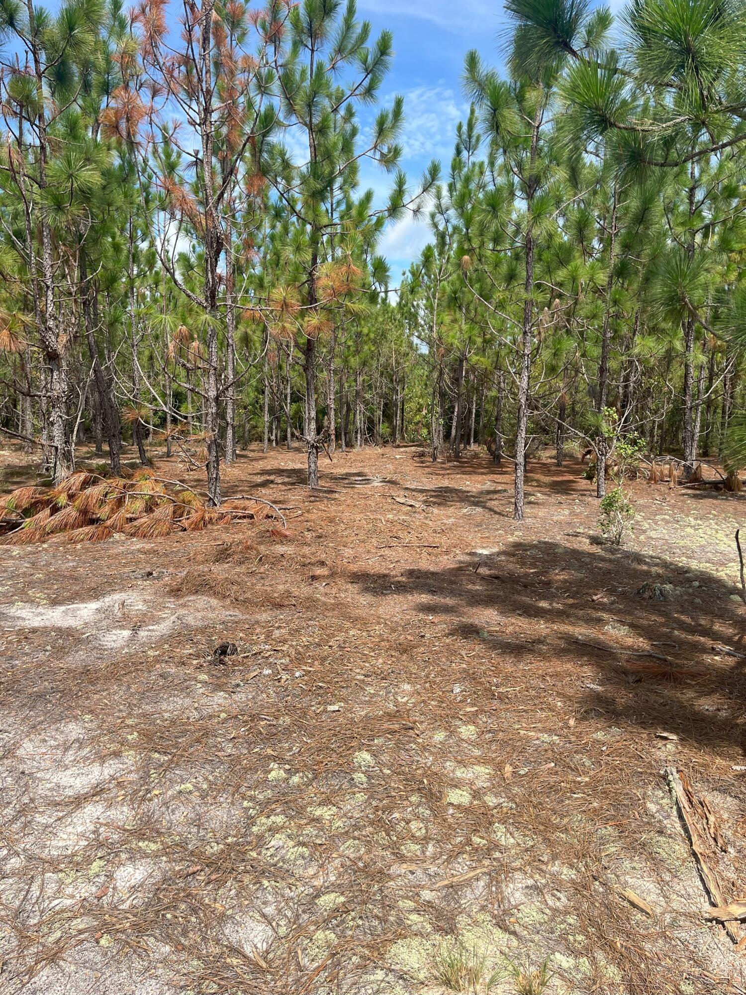 8 Payne Pond Road, Unit PPF 8 Westville, SC 29175 - Photo 7 of 10 IMG_7236