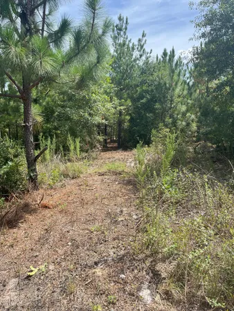 $79,900 | 8 Payne Pond Road, Unit PPF 8, Westville, SC 29175