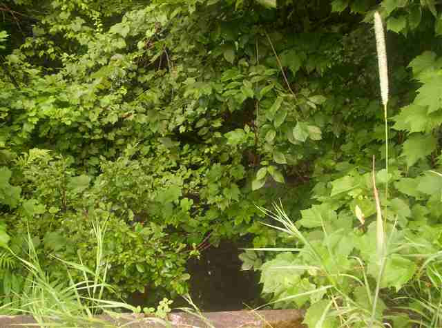 0 Wells Road Pattersonville, NY 12137 - Photo 1 of 3 Photo 1