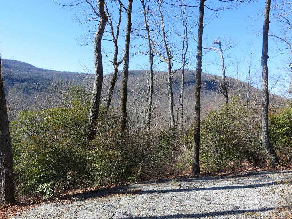 Lot 17 Panther Ridge Road Lake Toxaway, NC 28747 - Photo 14 of 38 Gallery Image 14