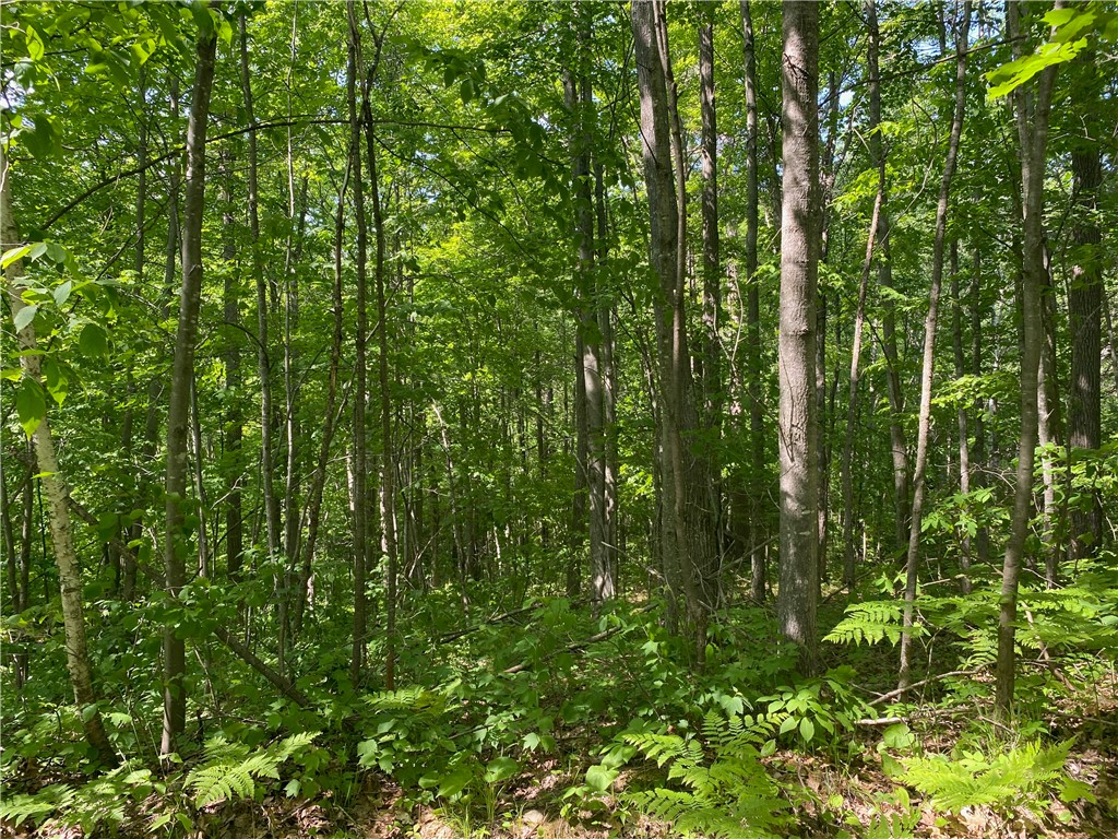 Lot 7 Secluded Trail Hayward, WI 54843 - Photo 33 of 41