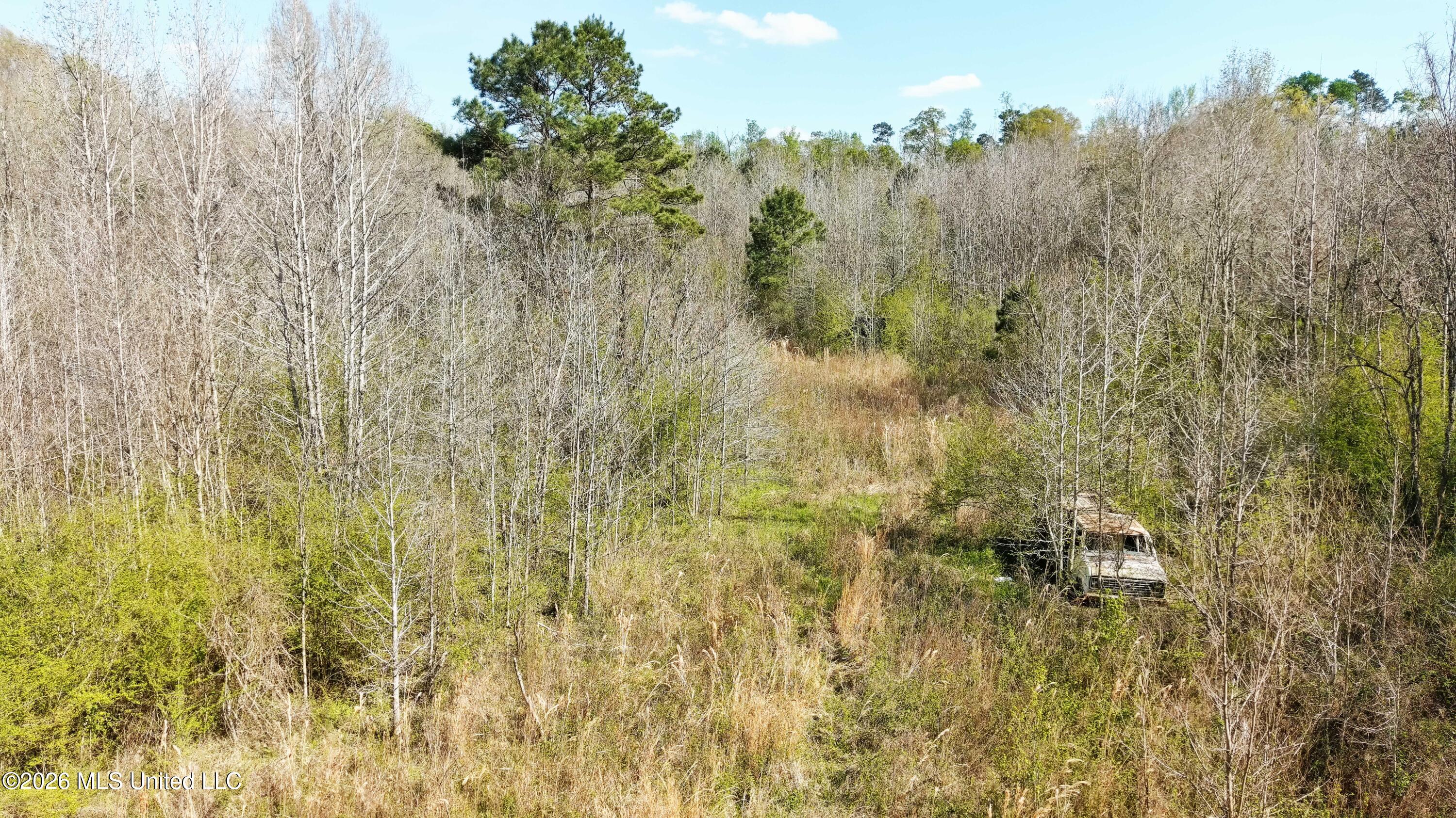 Well Street Wesson, MS 39191 - Photo 3 of 10 22 Acres well pic 6
