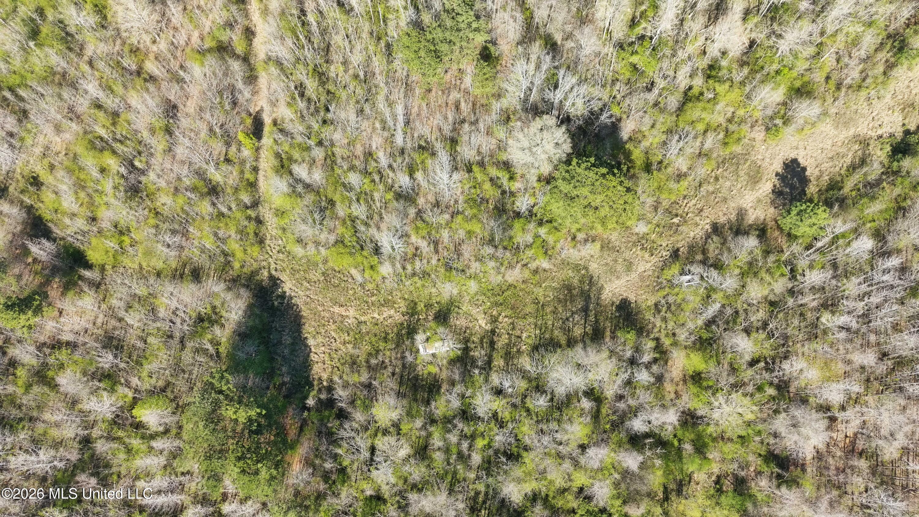 Well Street Wesson, MS 39191 - Photo 4 of 10 22 Acres well pic 7