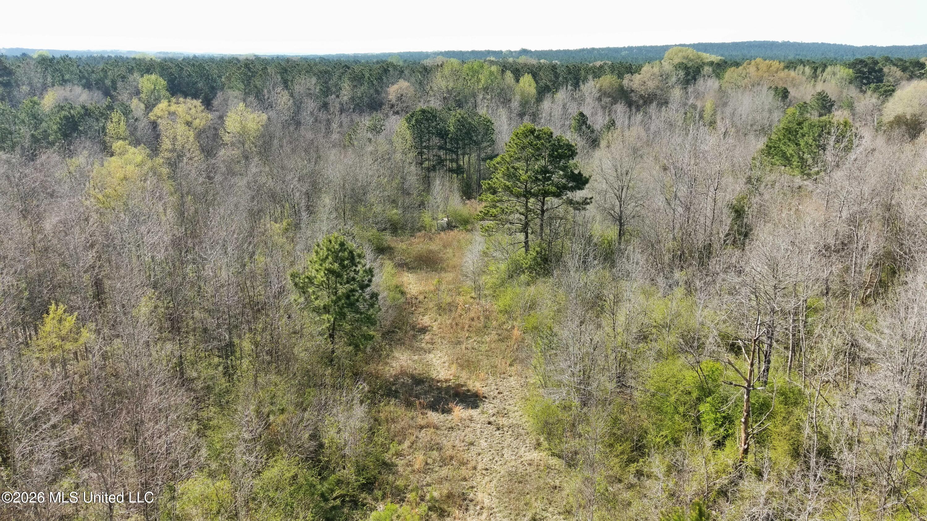 Well Street Wesson, MS 39191 - Photo 7 of 10 22 acres well pic 10