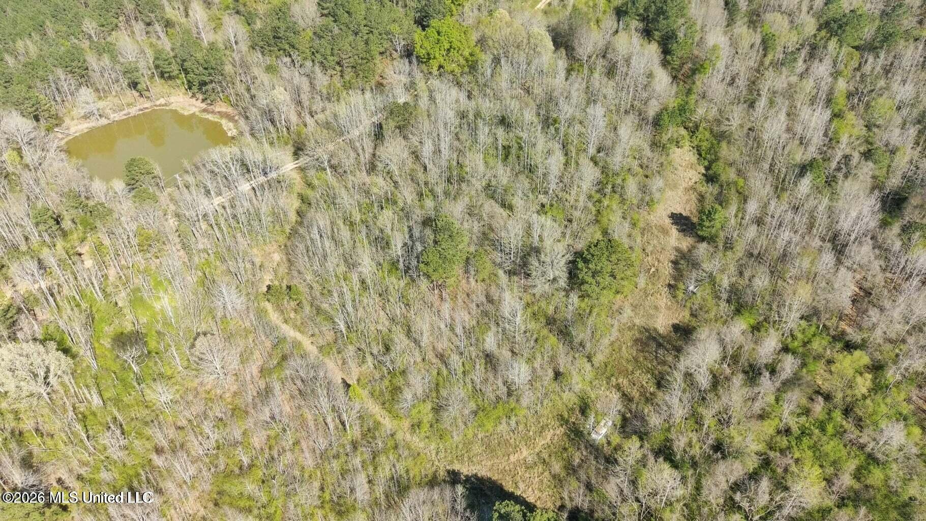 Well Street Wesson, MS 39191 - Photo 9 of 10 22 Acres wells pic 2