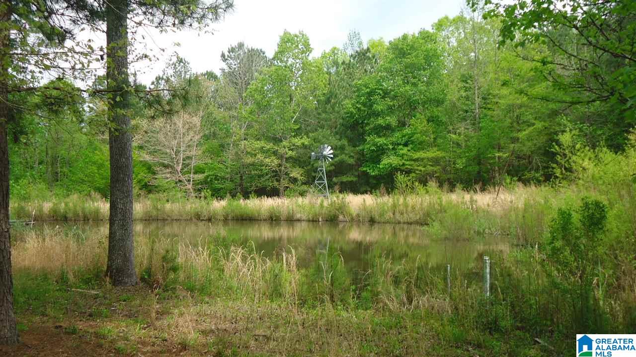 0 Mudd Street Ohatchee, AL 36271 - Photo 4 of 20