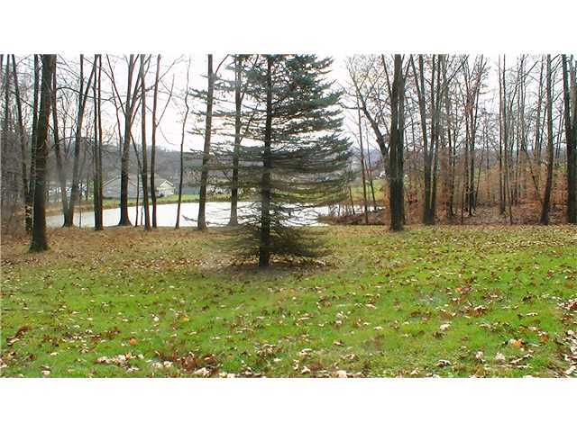 6491 Welsh Road Nashport, OH 43830 - Photo 3 of 3
