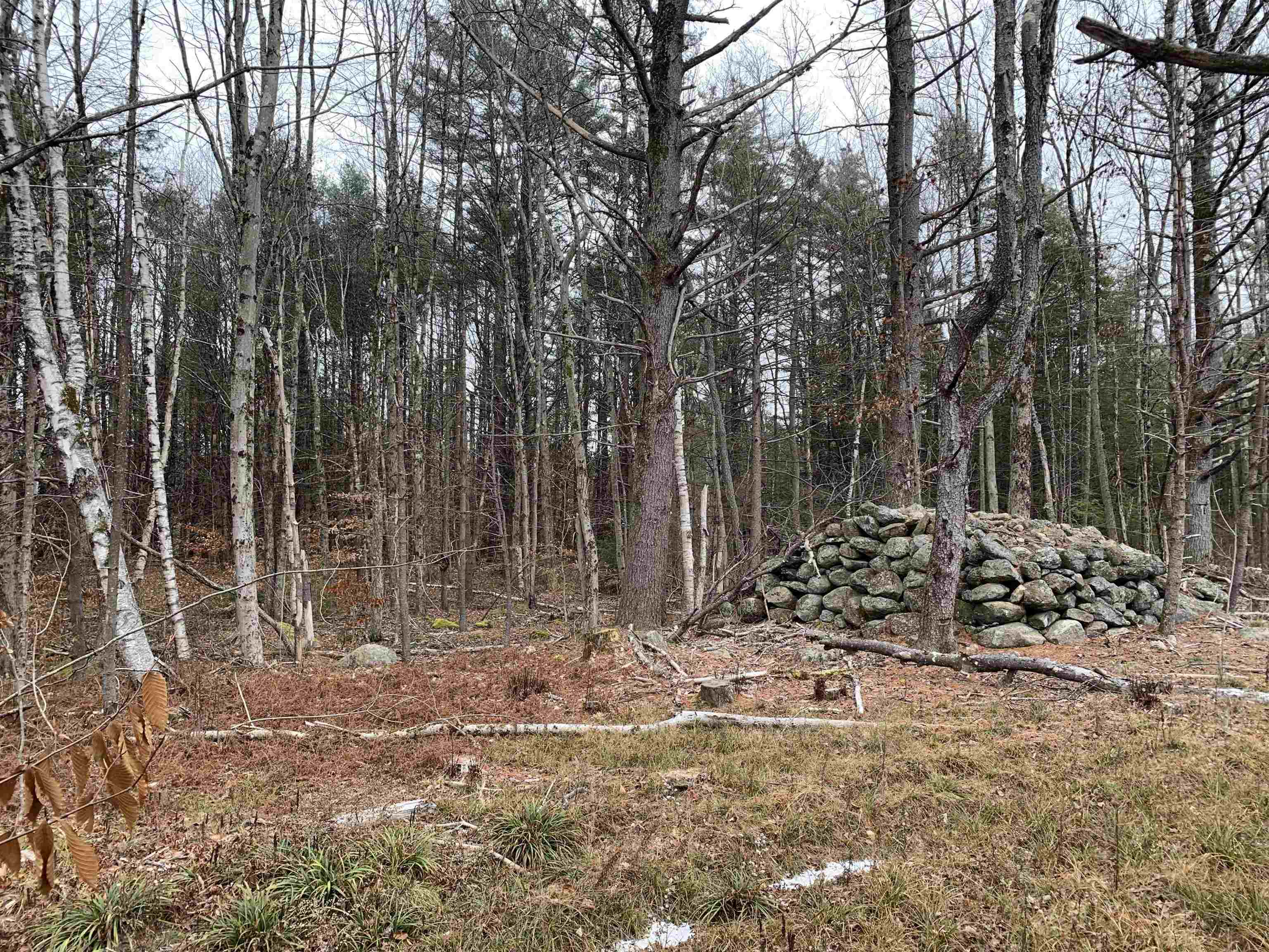 7 Dean Farm Road Richmond, NH 03470 - Photo 11 of 29 Gallery Image 11