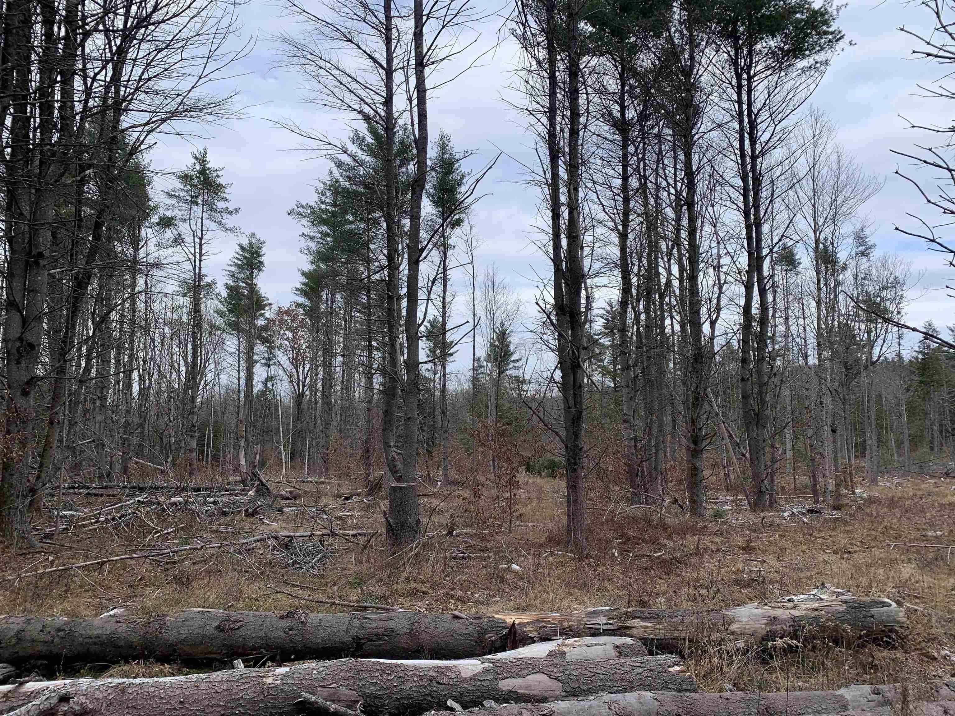 7 Dean Farm Road Richmond, NH 03470 - Photo 17 of 29 Gallery Image 17