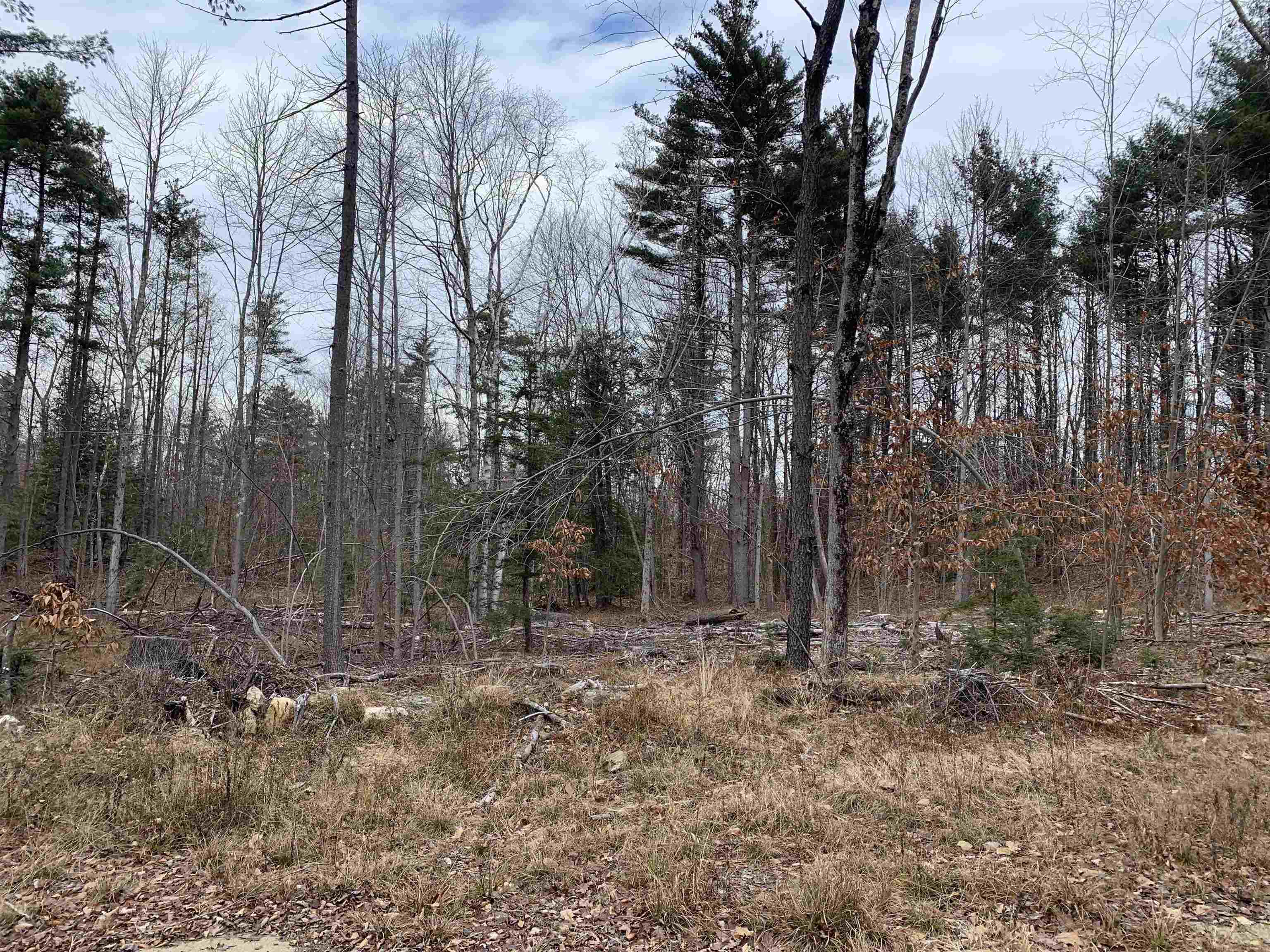 7 Dean Farm Road Richmond, NH 03470 - Photo 6 of 29 Gallery Image 6