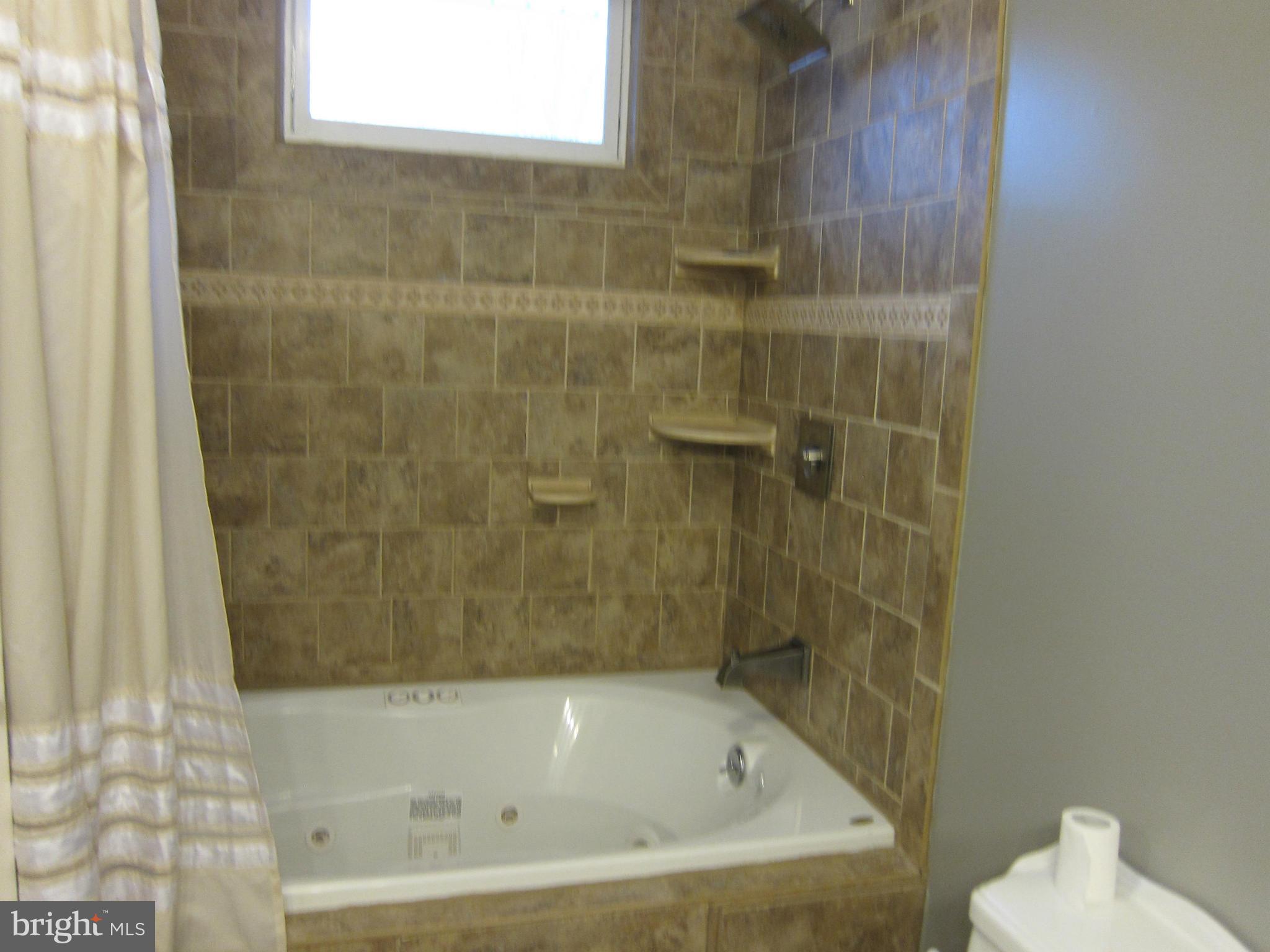 5723 Turner Road Broad Run, VA 20137 - Photo 16 of 29 Custom tile and jetted tub