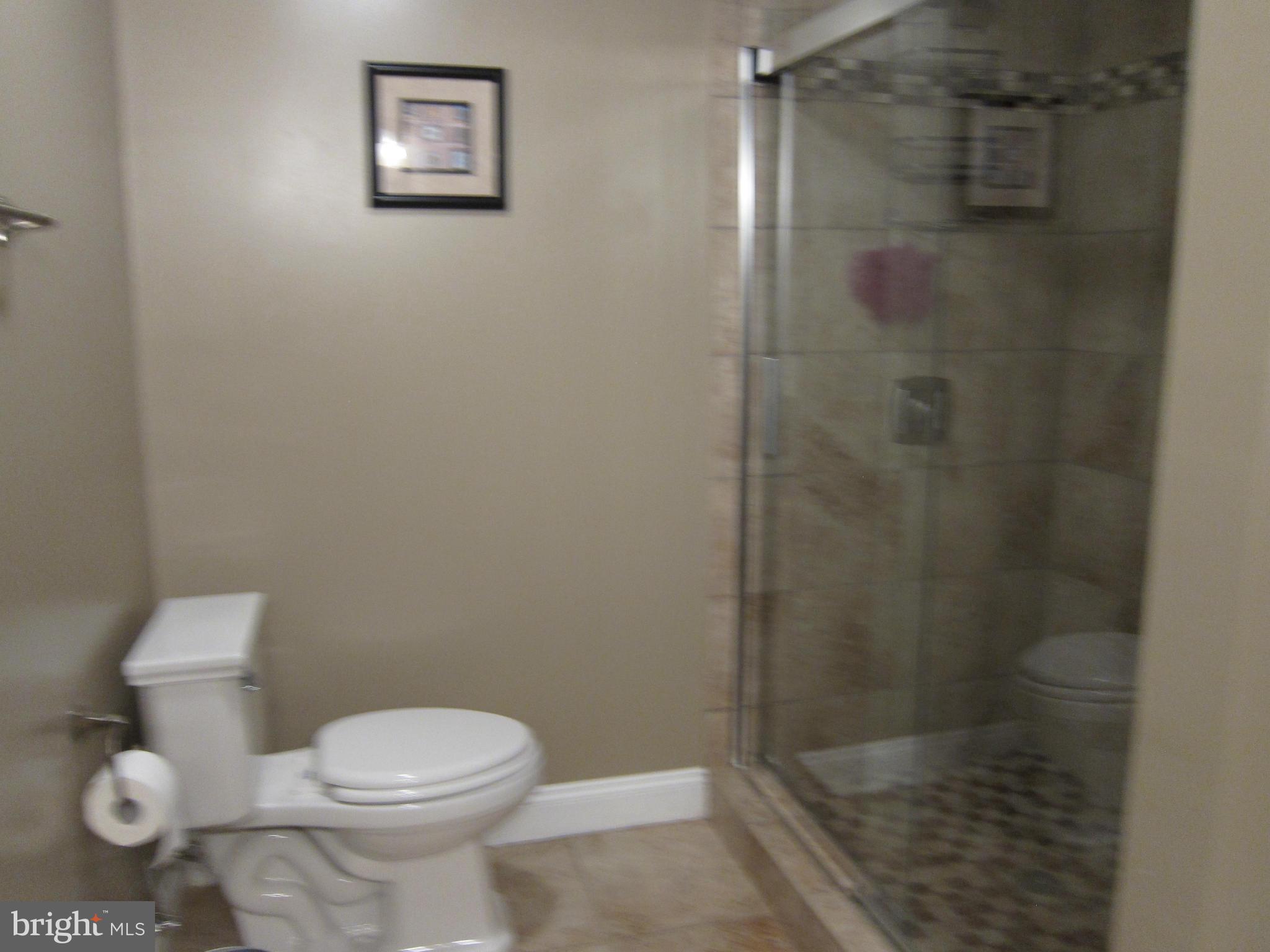 5723 Turner Road Broad Run, VA 20137 - Photo 22 of 29 Lower Level Shower in full bath