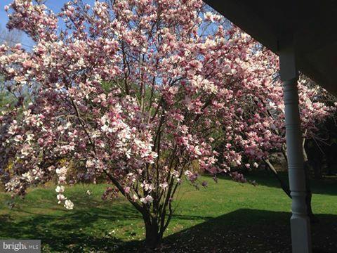 5723 Turner Road Broad Run, VA 20137 - Photo 25 of 29 Springtime View