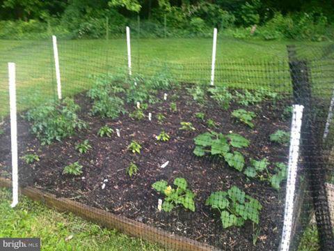 5723 Turner Road Broad Run, VA 20137 - Photo 28 of 29 Grow your own veggies