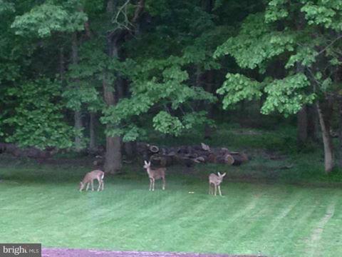 5723 Turner Road Broad Run, VA 20137 - Photo 29 of 29 Five lovely level acres comes with wildlife