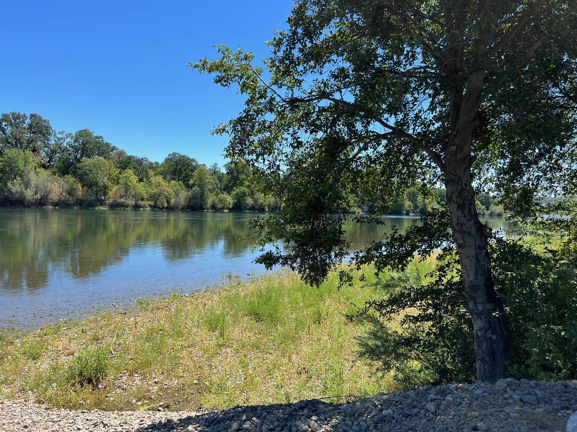 Lot 79 Rio Alto Drive Red Bluff, CA 96080 - Photo 6 of 14