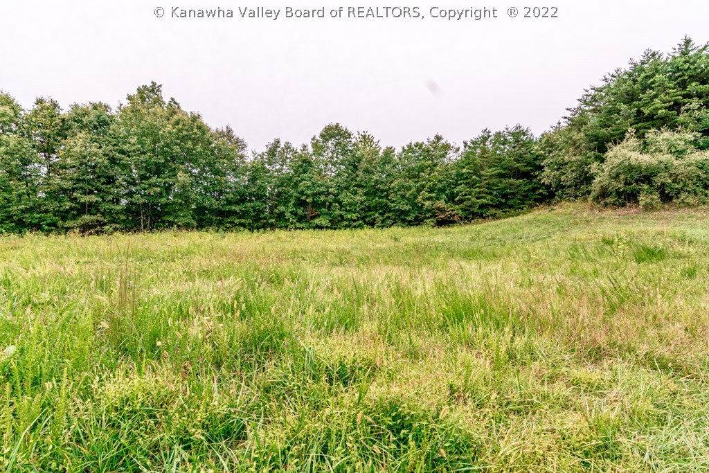 0 Jim Ridge Road Pleasureville, KY 40057 - Photo 12 of 18 Gallery Image 12