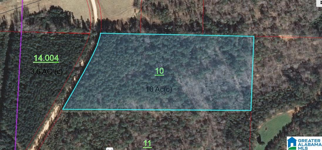 55 County Road, Unit 10 Woodland, AL 36280 - Photo 4 of 4