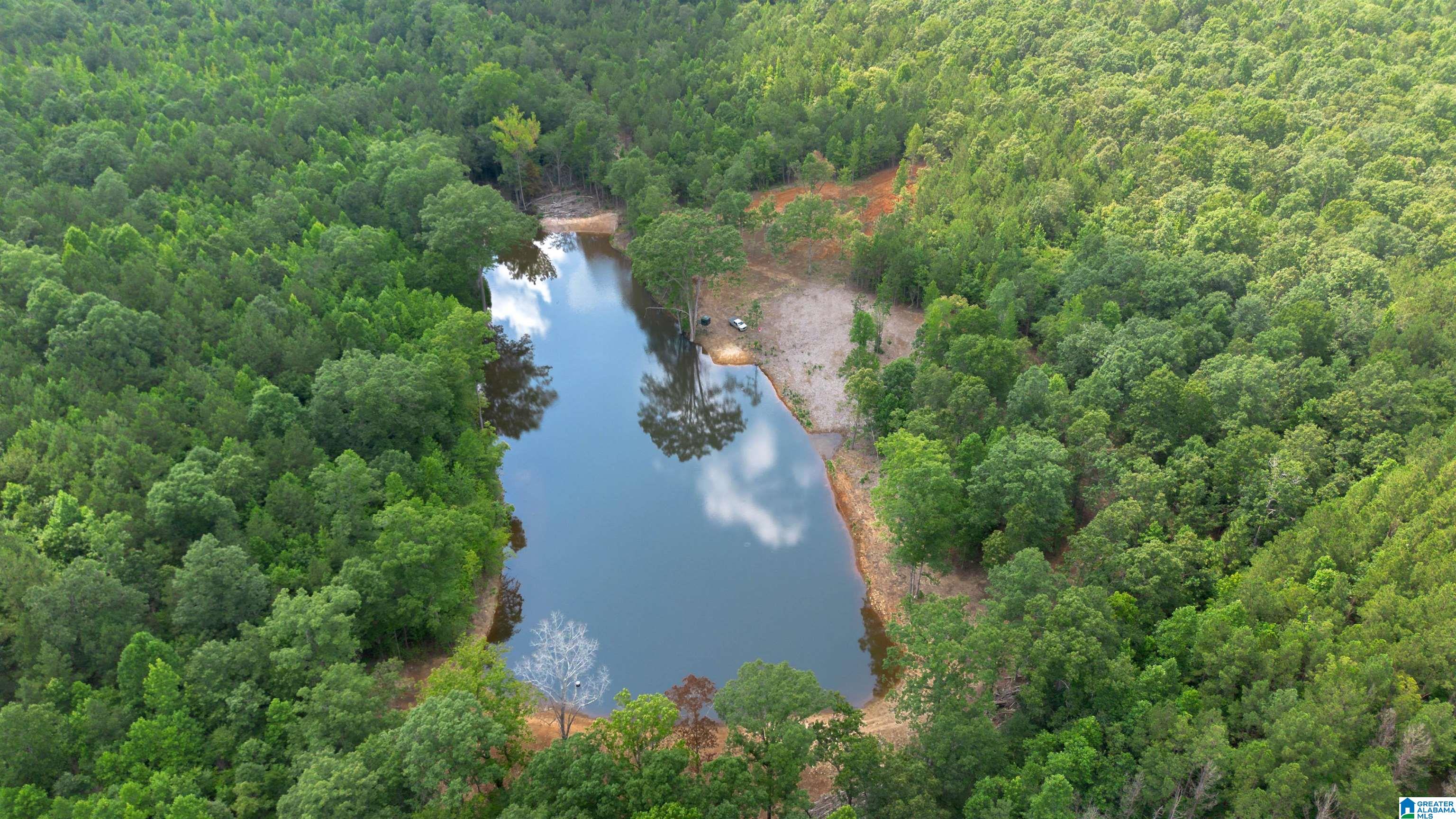 Vineyard Road, Unit 1 2 4 5 6 Fruithurst, AL 36262 - Photo 12 of 19