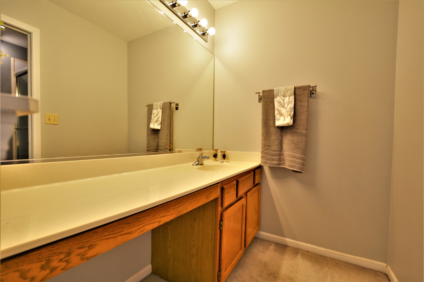 8187 Ripple Ridge Darien, IL 60561 - Photo 12 of 21 a bathroom with a sink and a mirror