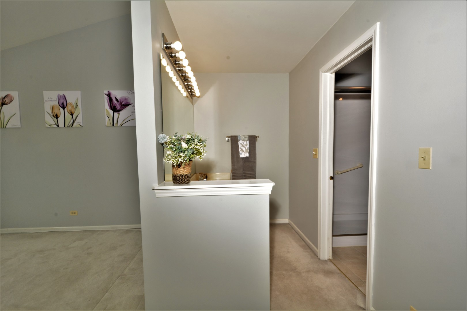 8187 Ripple Ridge Darien, IL 60561 - Photo 13 of 21