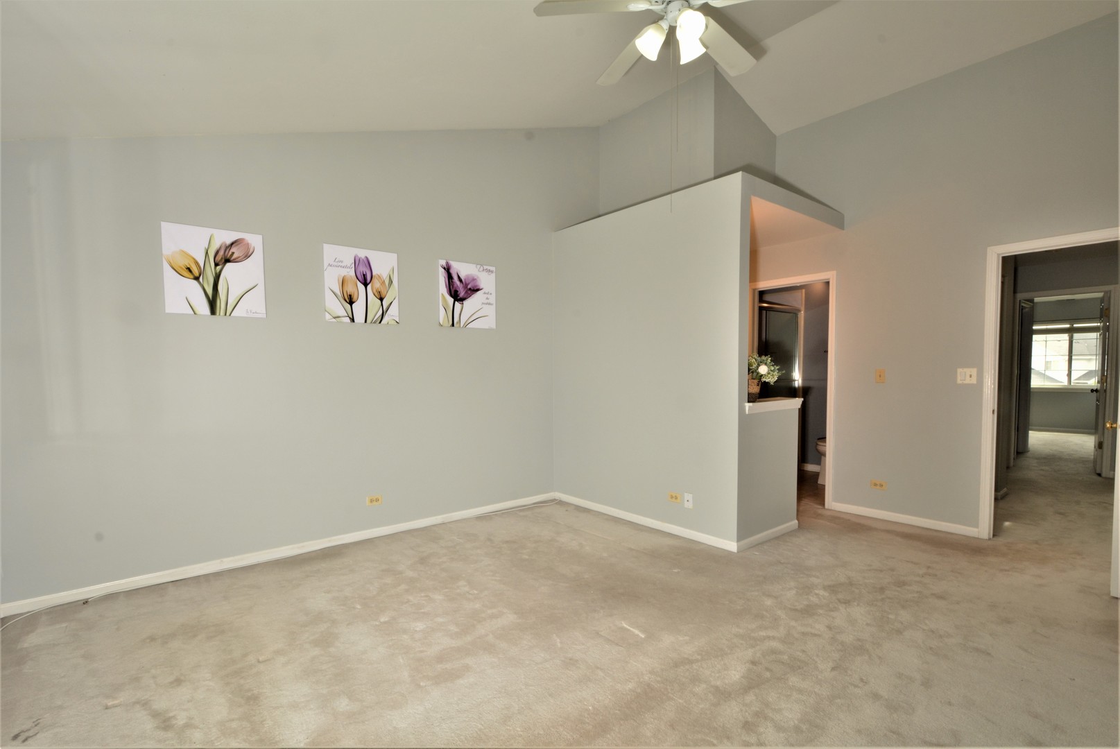 8187 Ripple Ridge Darien, IL 60561 - Photo 15 of 21 an empty room with a ceiling fan and painted walls