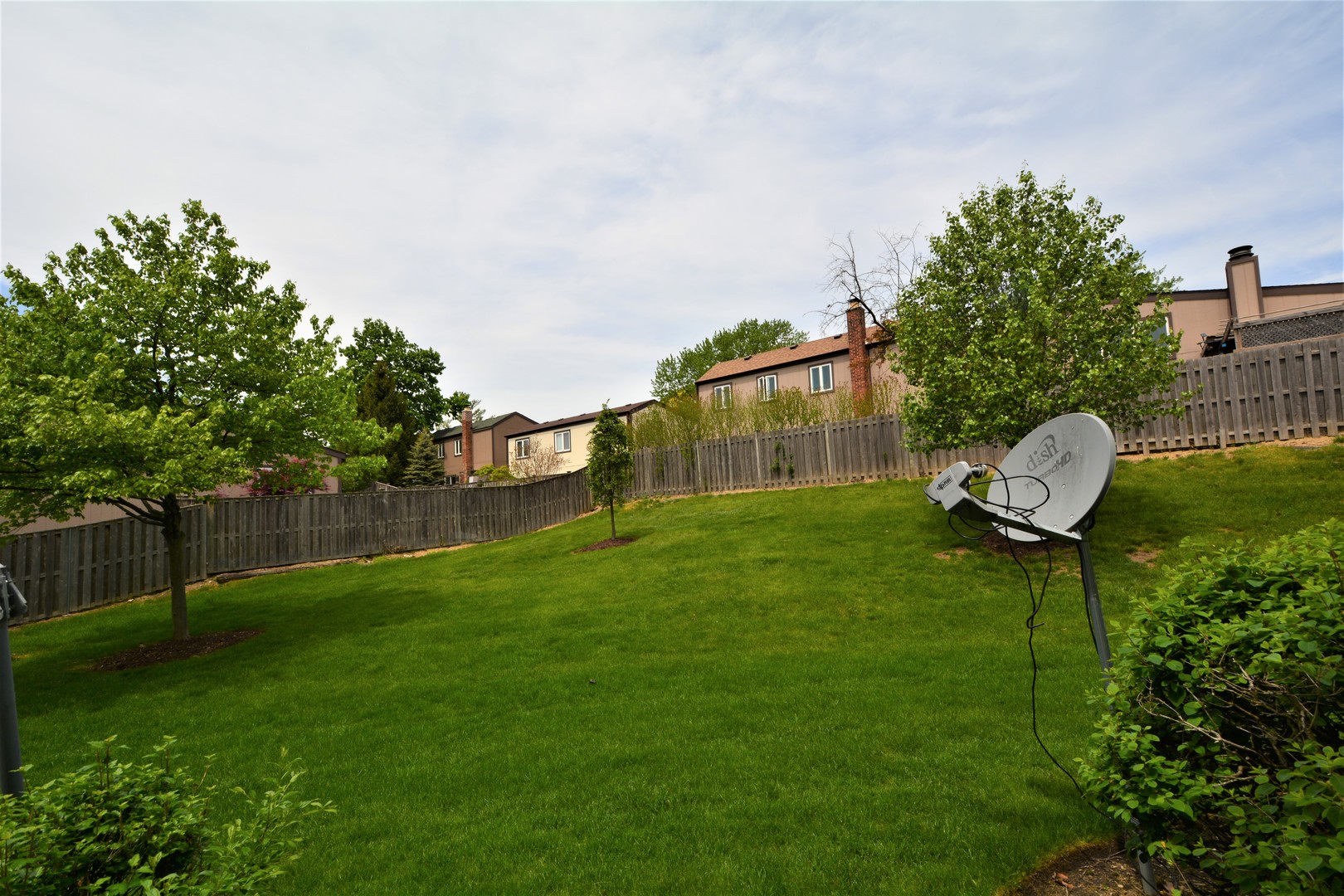8187 Ripple Ridge Darien, IL 60561 - Photo 20 of 21 a backyard of a house with lots of green space and plants