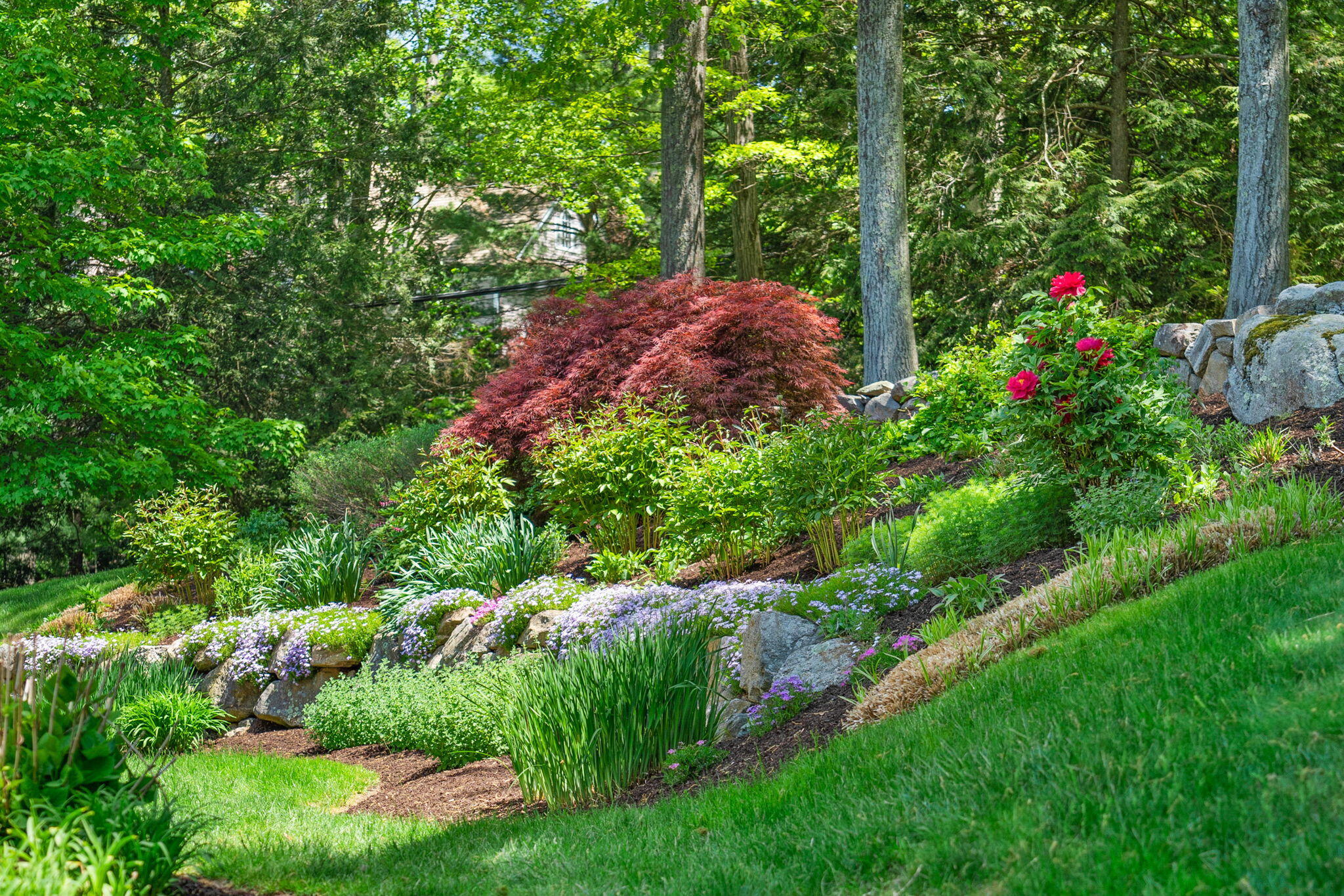 1466 Ponus Ridge Road New Canaan, CT 06840 - Photo 51 of 81 a view of a garden with plants and large trees