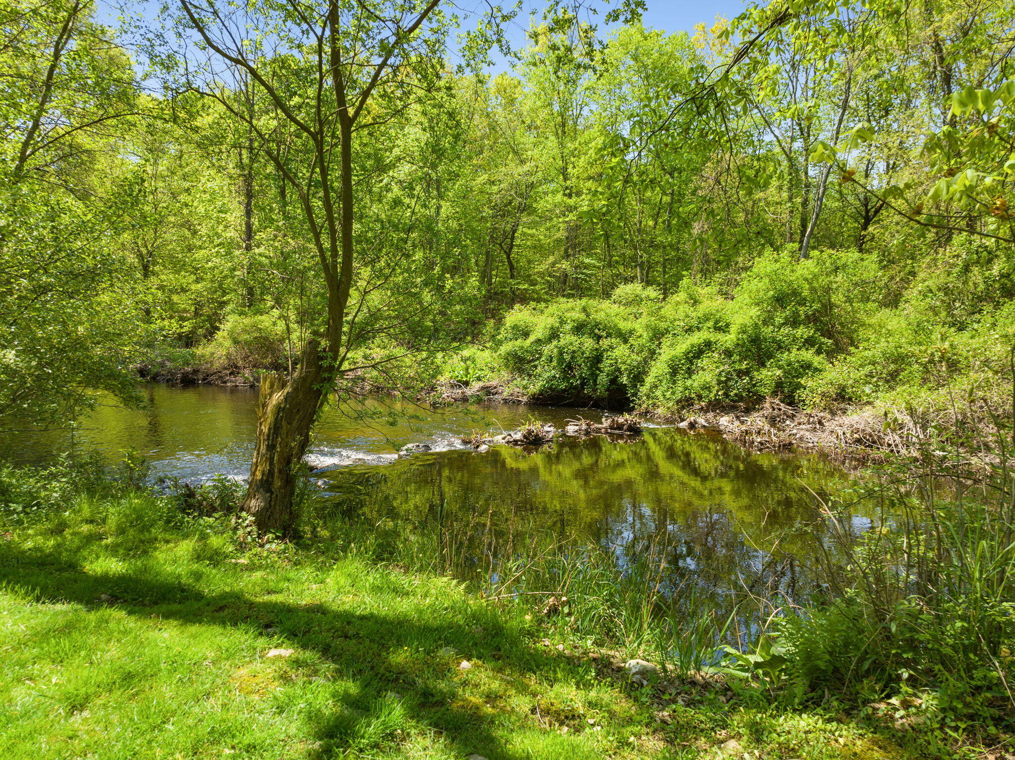 1466 Ponus Ridge Road New Canaan, CT 06840 - Photo 59 of 81 38-web-or-mls-DJI_0140