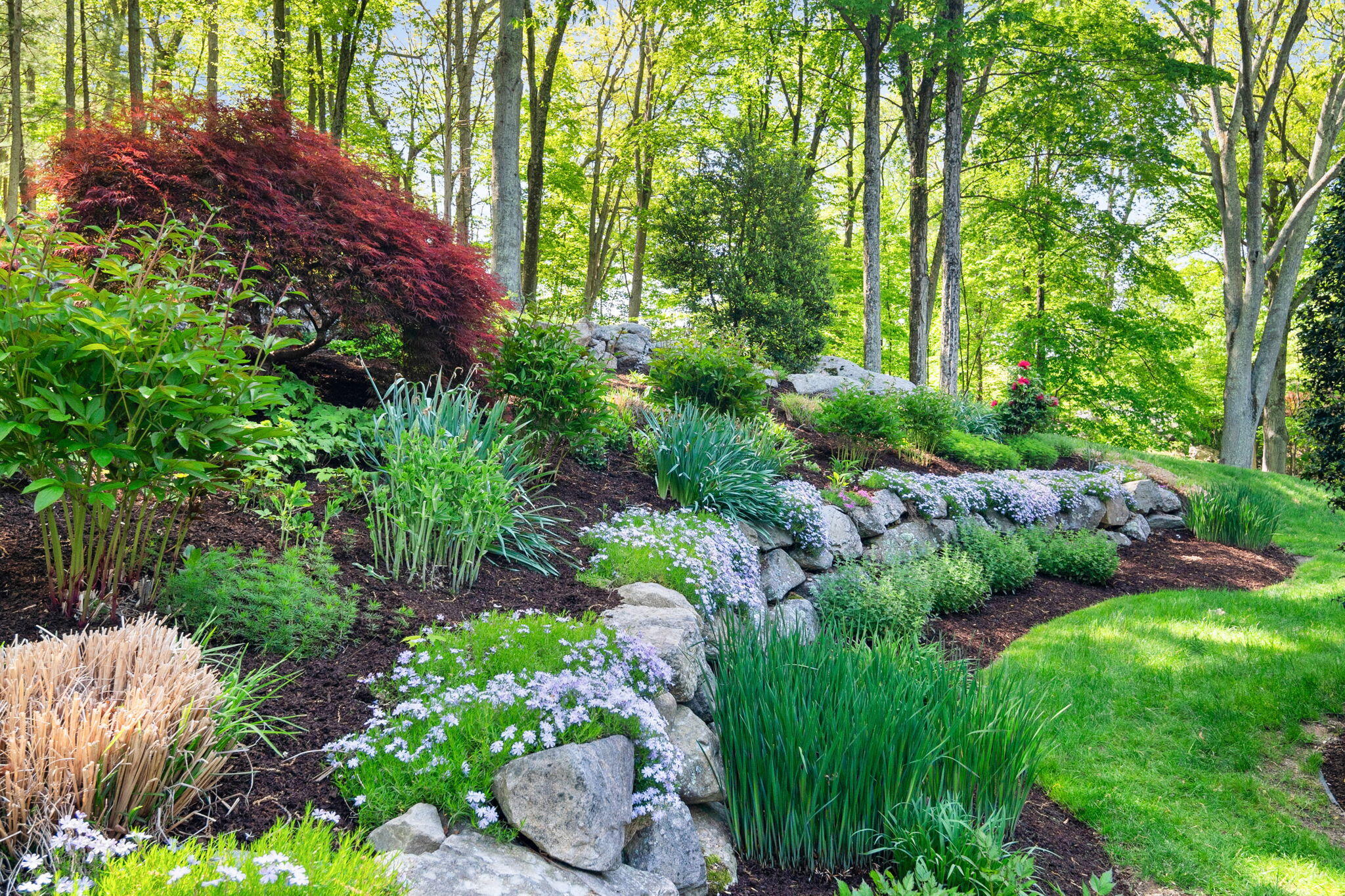 1466 Ponus Ridge Road New Canaan, CT 06840 - Photo 67 of 81 a view of a garden with plants and large trees