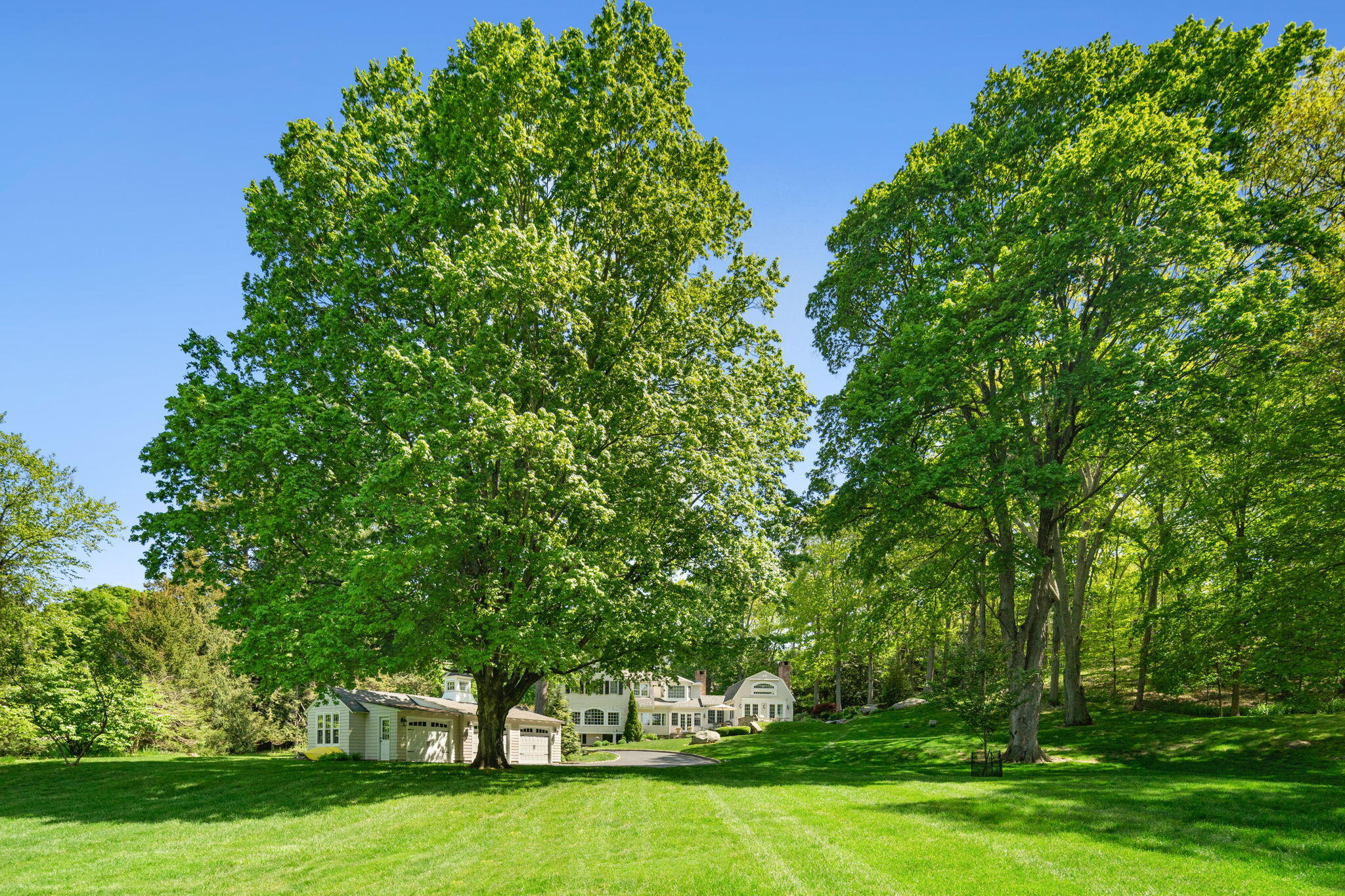 1466 Ponus Ridge Road New Canaan, CT 06840 - Photo 78 of 81 21-web-or-mls-_DSC5693