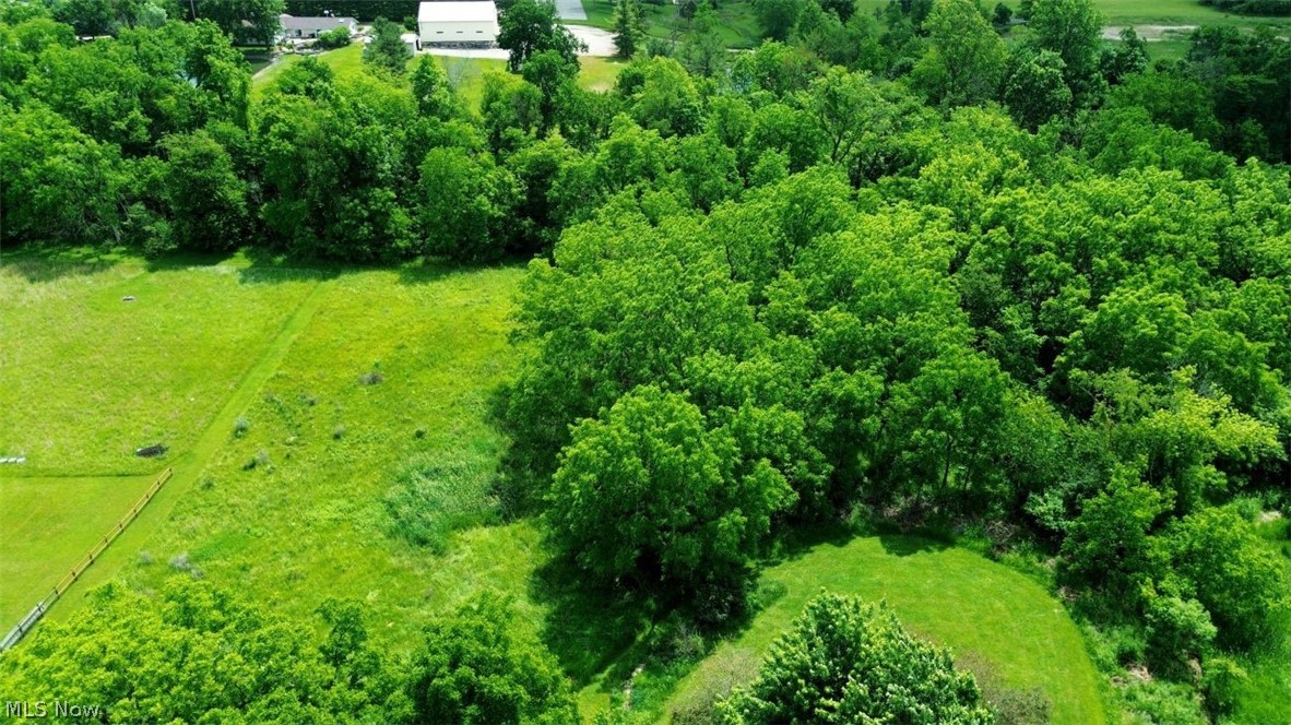 7251 Ryan Road Medina, OH 44256 - Photo 35 of 47 Aerial view