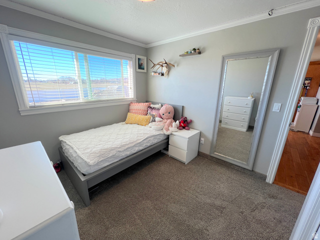 1852 East 3500th Street South Vernal, UT 84078 - Photo 23 of 46 Bedroom with dark carpet and ornamental molding
