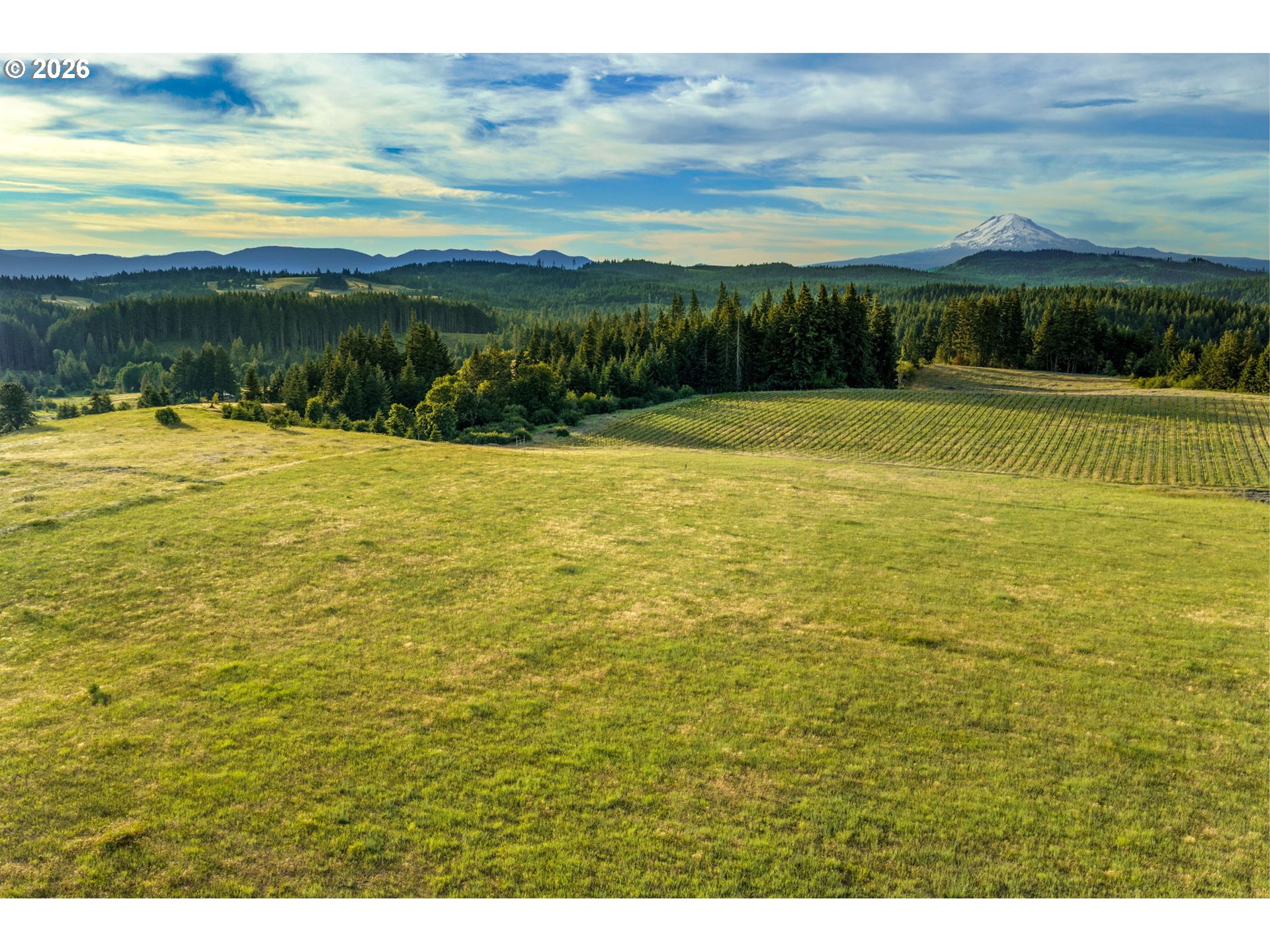 319 Bates Road White Salmon, WA 98672 - Photo 45 of 48