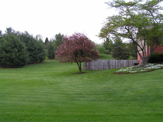 115 Stonebridge Drive Blue Ridge, VA 24064 - Photo 2 of 64 a view of a yard with large tree and wooden fence