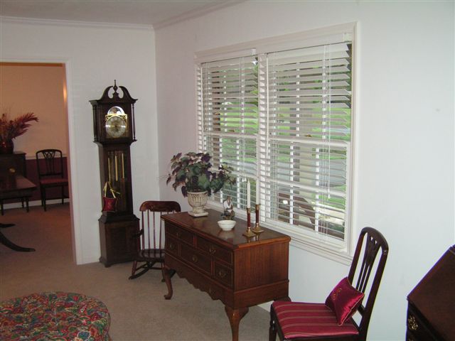 115 Stonebridge Drive Blue Ridge, VA 24064 - Photo 19 of 64 a living room with furniture and a window
