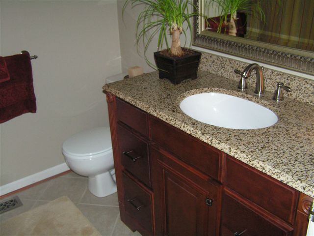 115 Stonebridge Drive Blue Ridge, VA 24064 - Photo 28 of 64 a bathroom with a granite countertop sink a toilet and a mirror