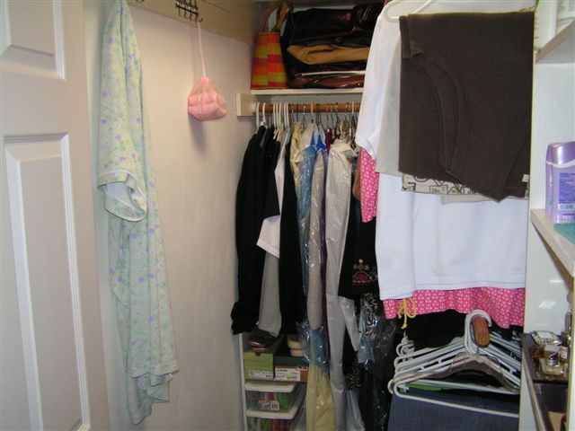 115 Stonebridge Drive Blue Ridge, VA 24064 - Photo 38 of 64 a view of walk in closet with clothes