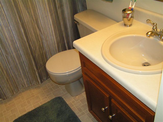 115 Stonebridge Drive Blue Ridge, VA 24064 - Photo 39 of 64 a bathroom with a sink and a toilet