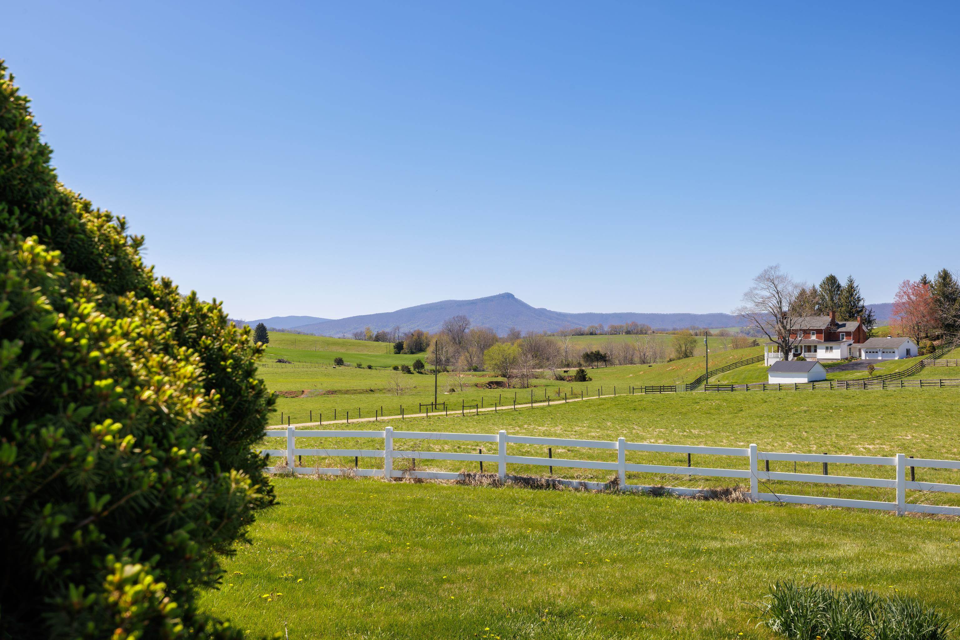 2834 Brownsburg Turnpike Raphine, VA 24472 - Photo 38 of 69