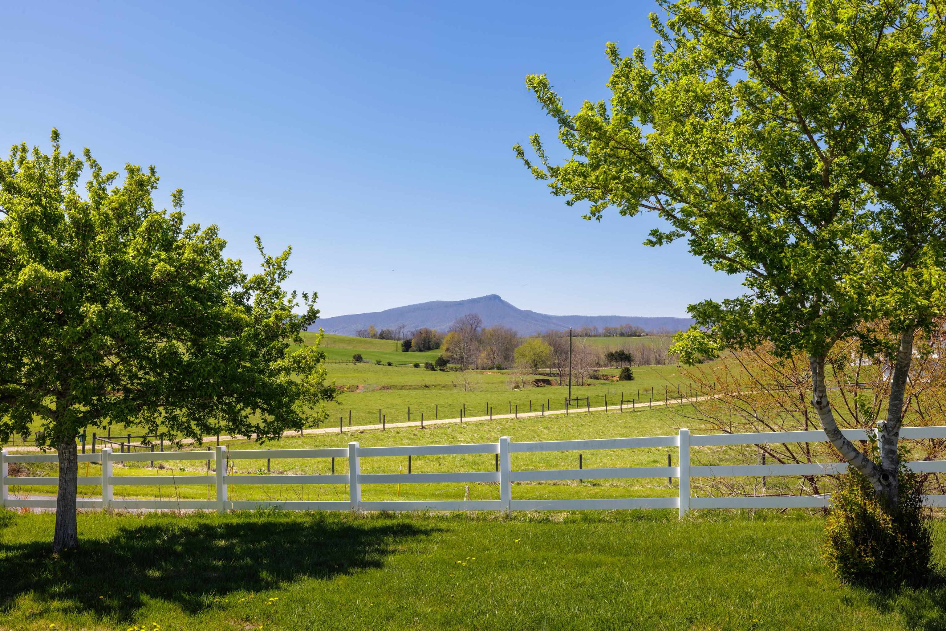 2834 Brownsburg Turnpike Raphine, VA 24472 - Photo 39 of 69 a view of a park with large trees
