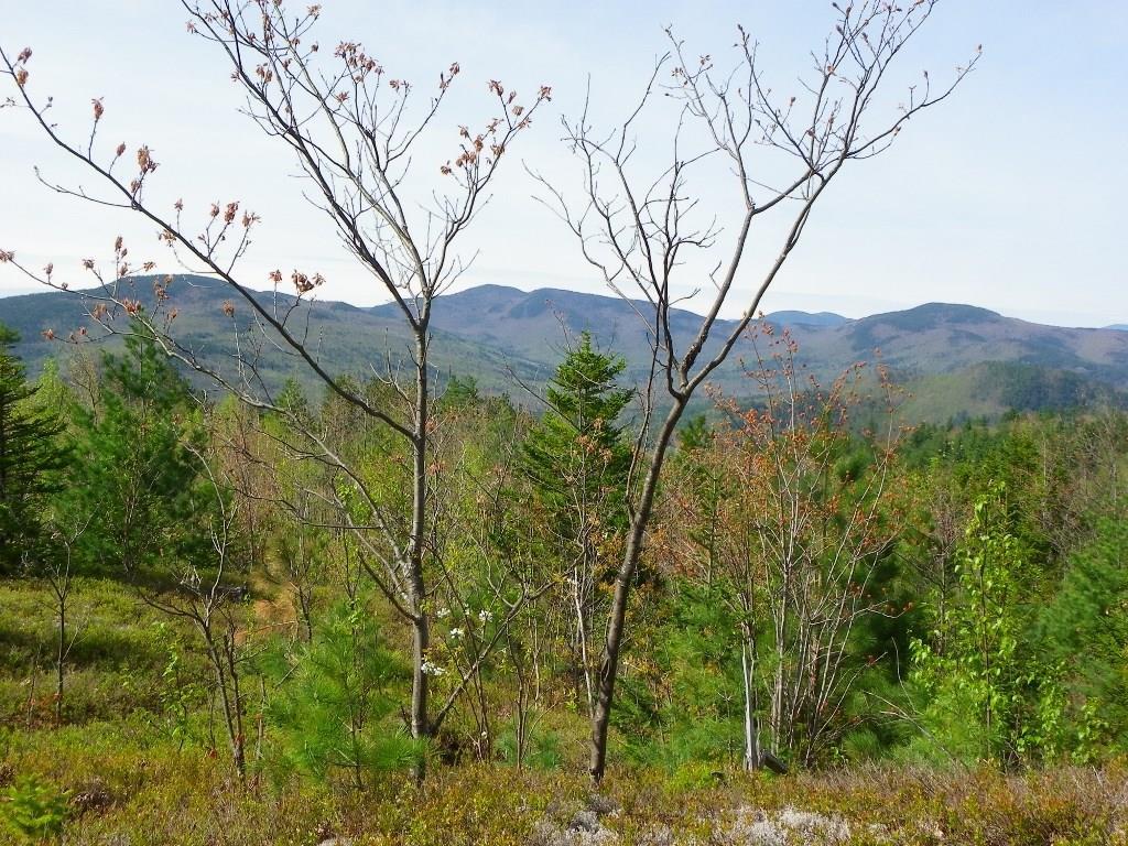 689 N Road Bethel, ME 04217 - Photo 25 of 32 Photo