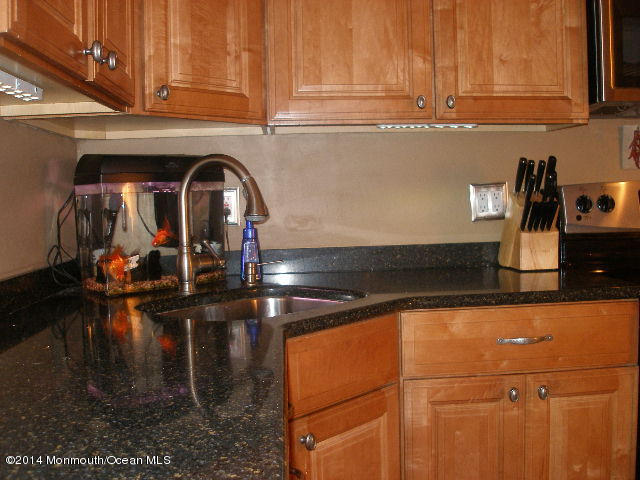 433 Green Acres Road Manchester Township, NJ 08759 - Photo 10 of 33 P1010458