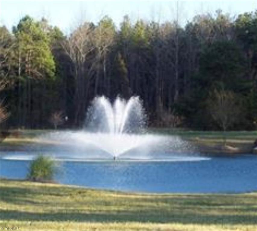338 Scout Road Lexington, NC 27292 - Photo 8 of 8 Just one of the beautiful fountains in YP.