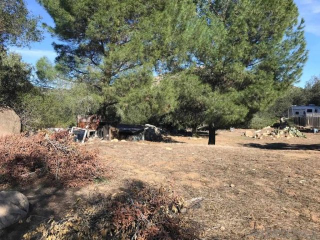 a view of a yard with a tree